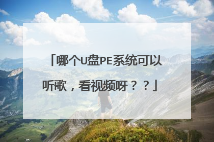 哪个U盘PE系统可以听歌，看视频呀？？