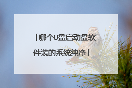 哪个U盘启动盘软件装的系统纯净