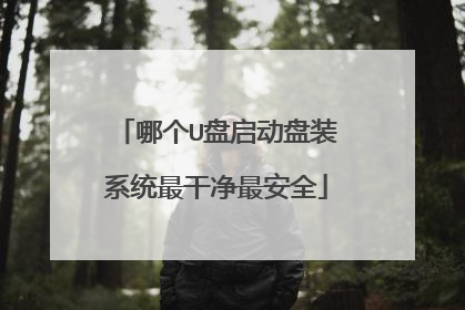 哪个U盘启动盘装系统最干净最安全