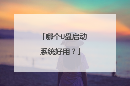 哪个U盘启动系统好用?