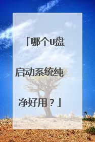 哪个U盘启动系统纯净好用?
