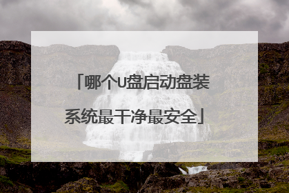 哪个U盘启动盘装系统最干净最安全