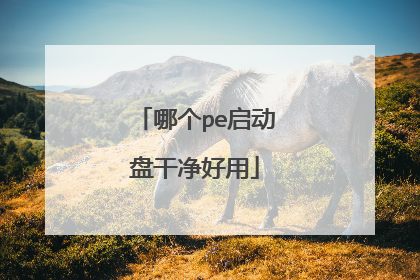 哪个pe启动盘干净好用