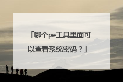 哪个pe工具里面可以查看系统密码?