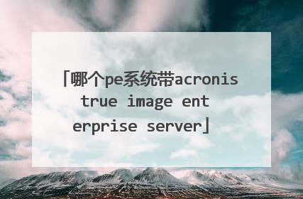 哪个pe系统带acronis true image enterprise server