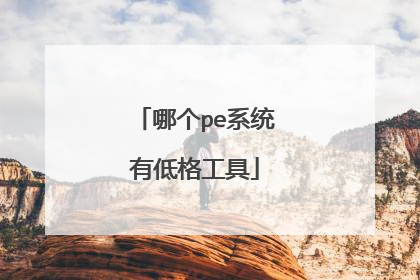 哪个pe系统有低格工具