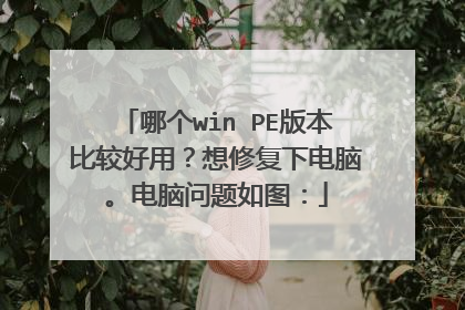 哪个win PE版本比较好用？想修复下电脑。电脑问题如图：