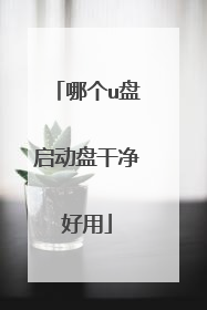 哪个u盘启动盘干净好用