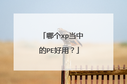 哪个xp当中的PE好用?