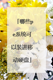 哪些pe系统可以装进移动硬盘
