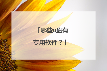 哪些u盘有专用软件?