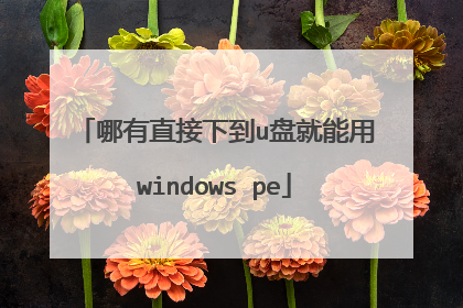 哪有直接下到u盘就能用windows pe