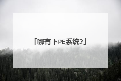 哪有下PE系统?