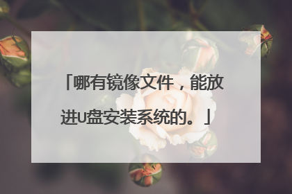 哪有镜像文件,能放进U盘安装系统的。