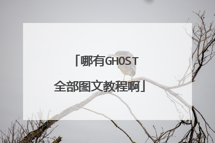 哪有GHOST全部图文教程啊