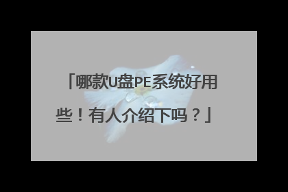哪款U盘PE系统好用些！有人介绍下吗？