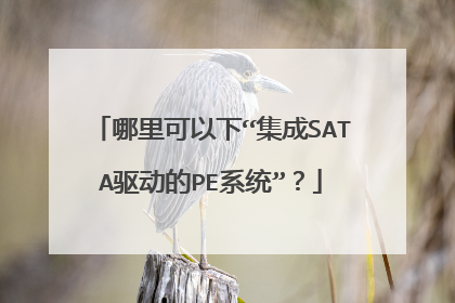 哪里可以下“集成SATA驱动的PE系统”?