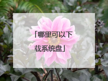 哪里可以下载系统盘