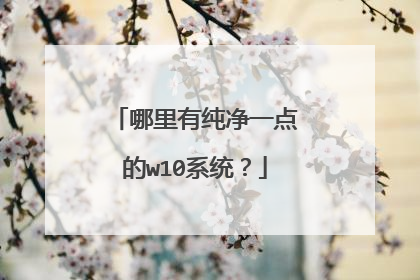 哪里有纯净一点的w10系统？
