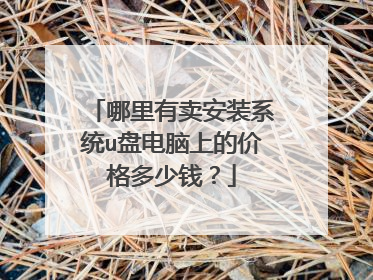 哪里有卖安装系统u盘电脑上的价格多少钱?