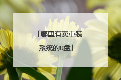 哪里有卖重装系统的U盘