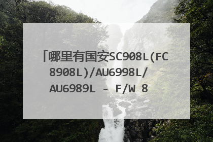 哪里有国安SC908L(FC8908L)/AU6998L/AU6989L - F/W 8501芯片的量产工具?