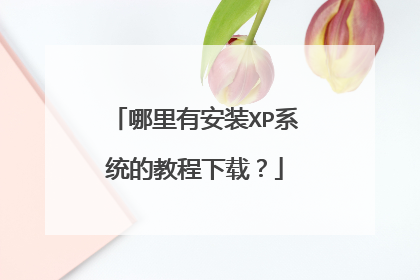 哪里有安装XP系统的教程下载?