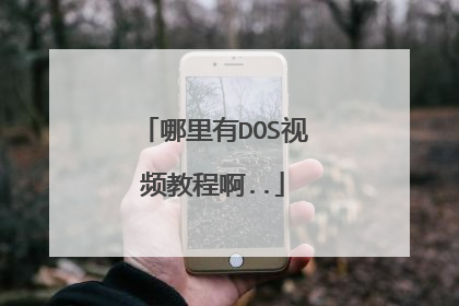 哪里有DOS视频教程啊..