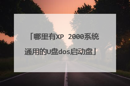 哪里有XP 2000系统通用的U盘dos启动盘