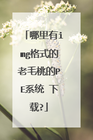 哪里有img格式的老毛桃的PE系统 下载?