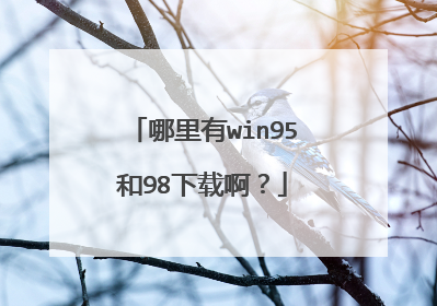 哪里有win95和98下载啊?