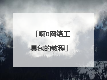 啊D网络工具包的教程