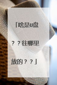 啥是U盘??往哪里放的??