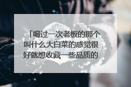 喝过一次老板的那个叫什么大白菜的感觉很好就想收藏一些品质的普洱茶,但不知道该如何入门啊。