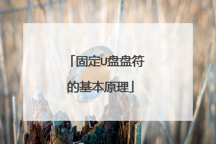 固定U盘盘符的基本原理