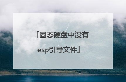 固态硬盘中没有esp引导文件