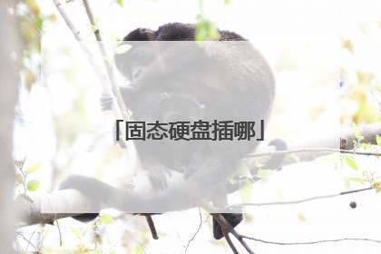 固态硬盘插哪