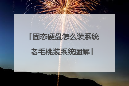固态硬盘怎么装系统 老毛桃装系统图解