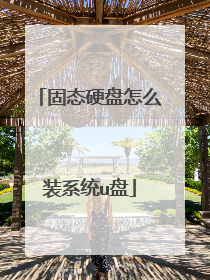 固态硬盘怎么装系统u盘