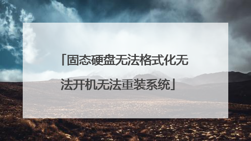 固态硬盘无法格式化无法开机无法重装系统