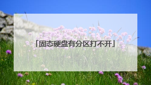 固态硬盘有分区打不开