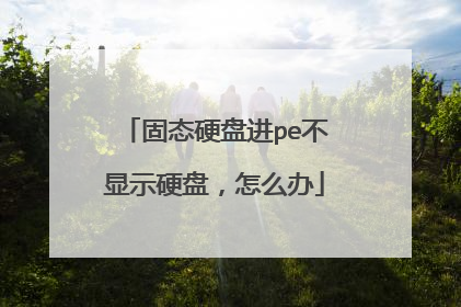 固态硬盘进pe不显示硬盘,怎么办
