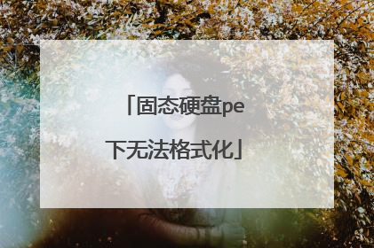 固态硬盘pe下无法格式化