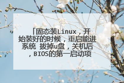 固态装Linux,开始装好的时候,重启能进系统 拔掉u盘,关机后,BIOS的第一启动项找不到固态了?
