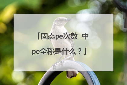 固态pe次数 中pe全称是什么？