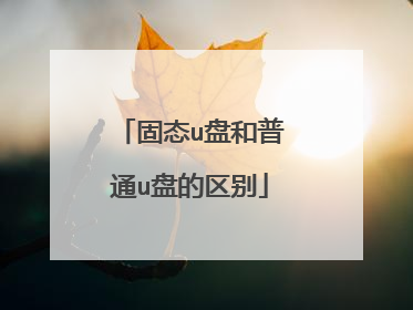 固态u盘和普通u盘的区别
