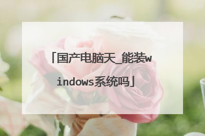 国产电脑天_能装windows系统吗