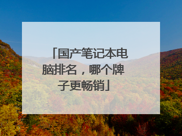 国产笔记本电脑排名，哪个牌子更畅销