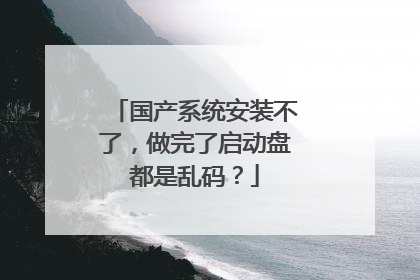 国产系统安装不了，做完了启动盘都是乱码？