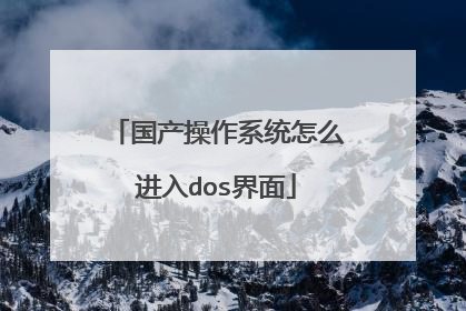 国产操作系统怎么进入dos界面